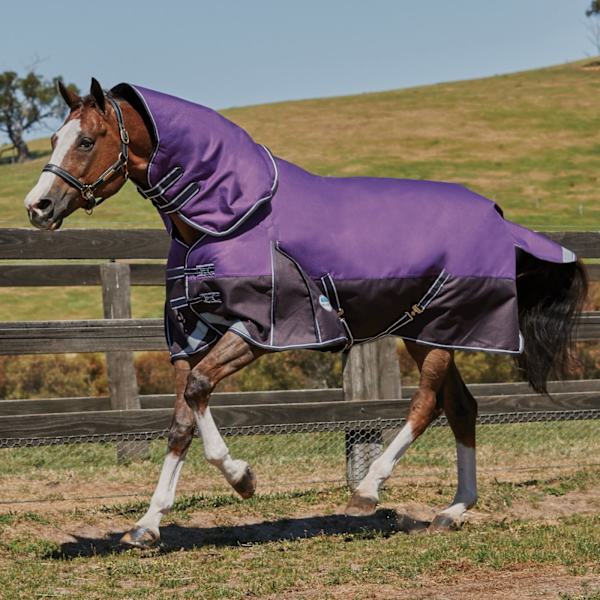 Weatherbeeta Comfitec Lite Plus Dynamic Detach-A-Neck Turnout R Purple/Black 4ft 6