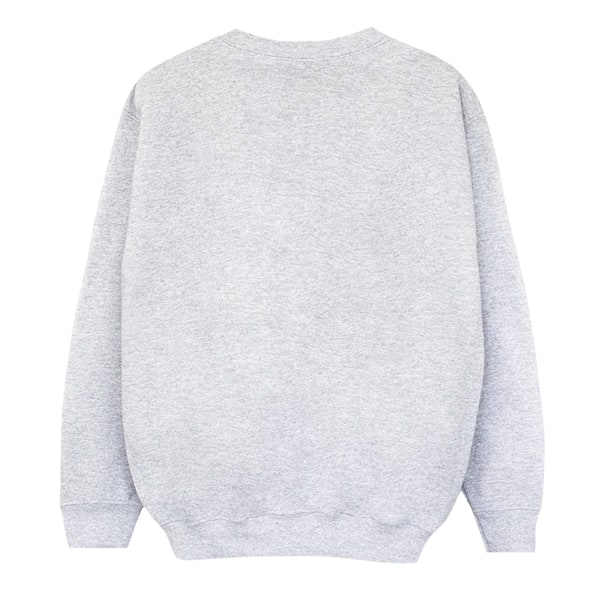 Disney Dam/Kvinnor Minnie Mouse Queen Sweatshirt XXL Sports G Sports Grey XXL