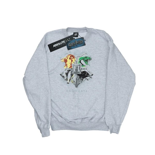 Harry Potter Dam/Damer Hogwarts Målad Crest Sweatshirt L Heather Grey L