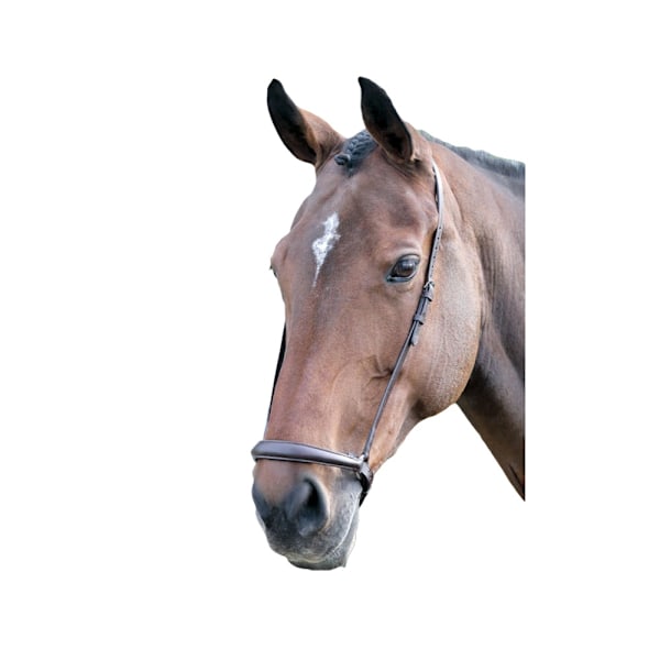 Blenheim Läder Häst Drop Nosband Ponny Havanna Havana Pony