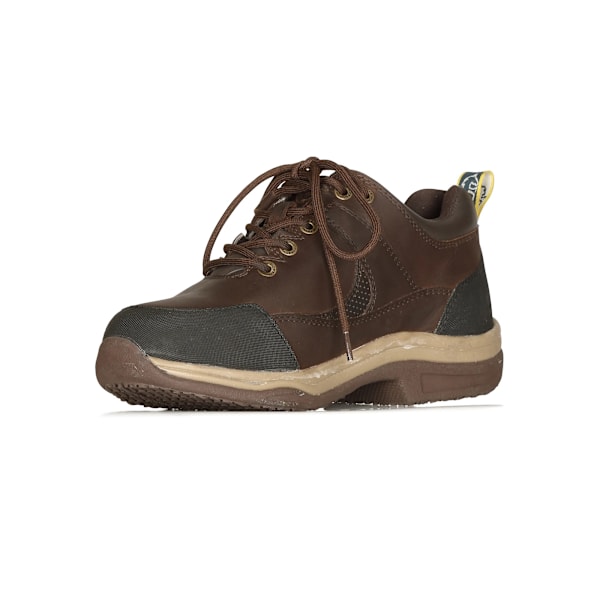 Moretta Dam/Kvinnor Norvara XGRIP Buffalo Läder Sneakers 7 Brown 7 UK