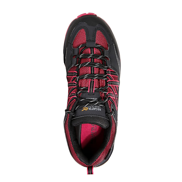 Regatta Womens/Ladies Samaris Low II Vandringskängor 7 UK Dark Cer Dark Cerise/Ash 7 UK