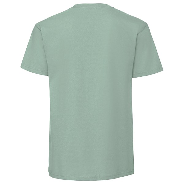 Fruit Of The Loom Herr Premium T-shirt i ringspun, storlek L, salvia Sage L