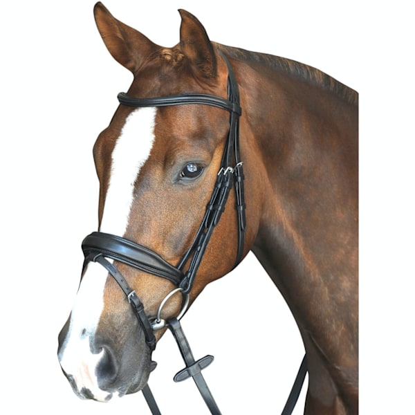 Collegiate Mono Crown Vadderat Upphöjt Läder Flash Träns Varmblod Black Warmblood