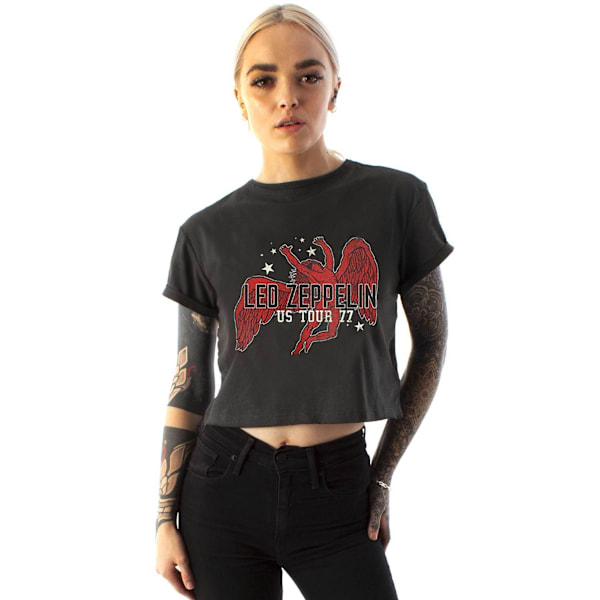 Amplified Womens/Ladies Icarus Tour 77 Led Zeppelin Crop Top L Grey L