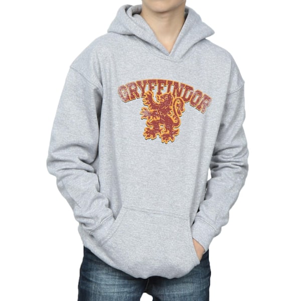 Harry Potter Boys Gryffindor Sport Emblem Hoodie 7-8 år Spor Sports Grey 7-8 Years