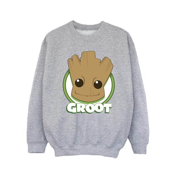 Guardians Of The Galaxy Flickor Groot Badge Sweatshirt 9-11 År Sports Grey 9-11 Years