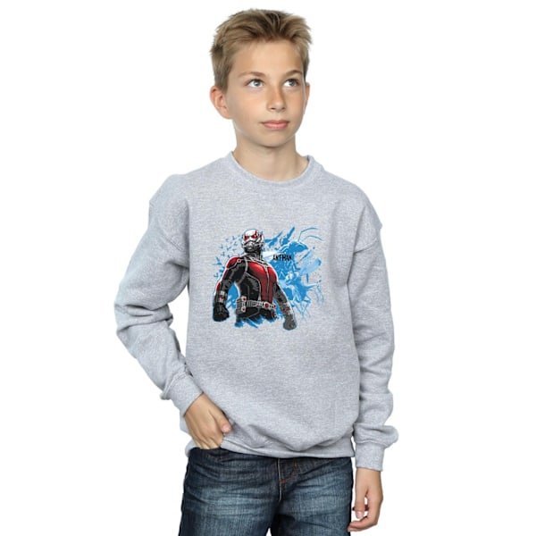 Marvel Boys Ant-Man Stående Sweatshirt 5-6 År Sports Grey Sports Grey 5-6 Years