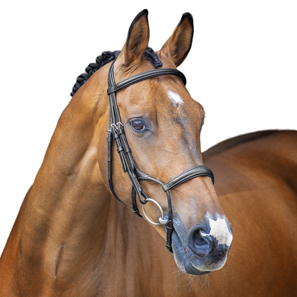 Velociti Lusso Hunter Läder Häst Cavesson Bridle Full Black Black Full