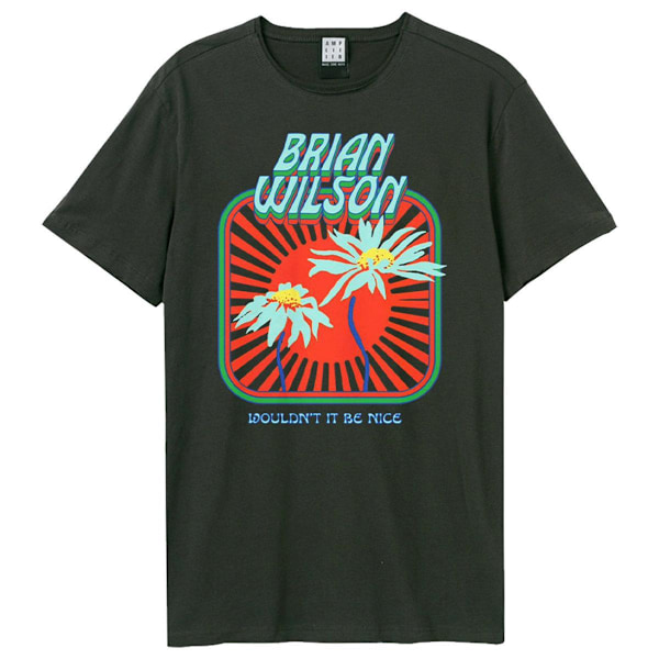 Amplified Unisex Adult Wouldn´t Be Nice Brian Wilson T-Shirt XS Charcoal XS