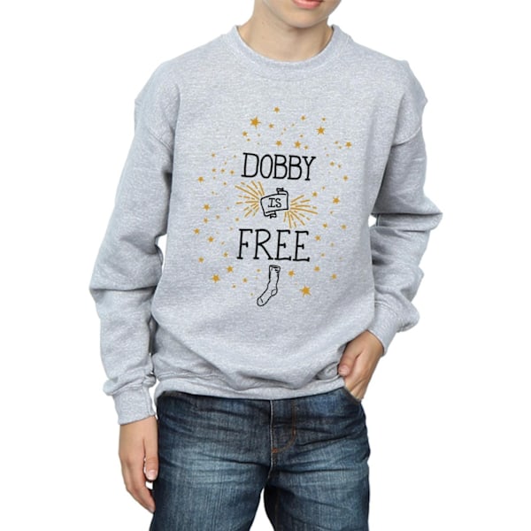 Harry Potter Boys Dobby Is Sweatshirt 12-13 år Sports G Sports Grey 12-13 Years