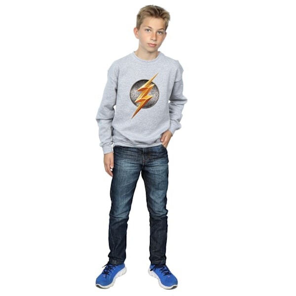 DC Comics Boys Justice League Movie Flash Emblem Sweatshirt 5-6 Sports Grey 5-6 Years