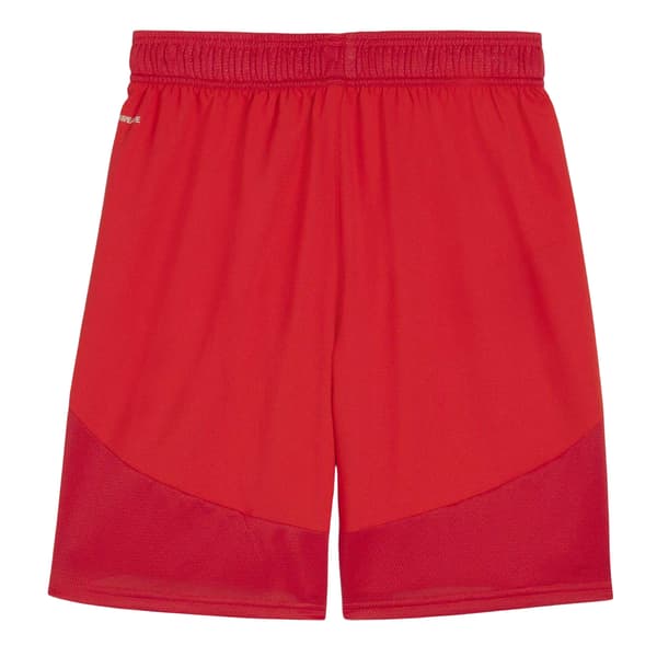Puma Herr TeamFinal Fotbollsshorts S Röd/Vit Red/White S