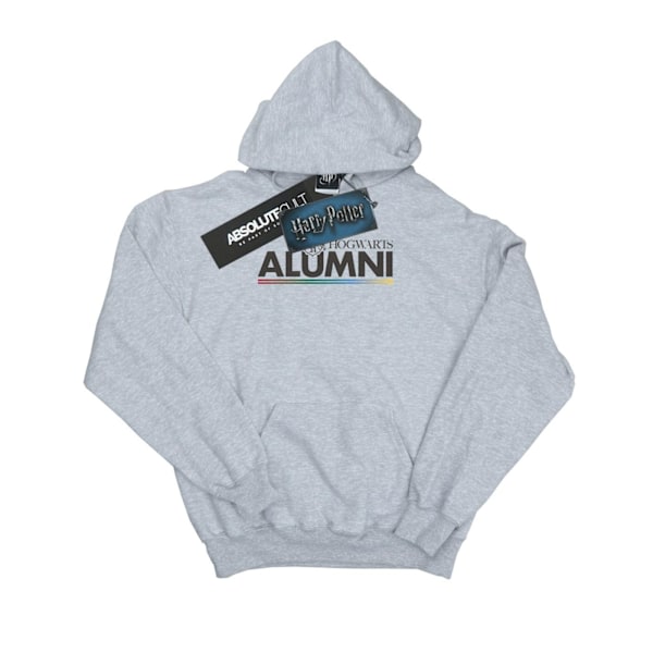 Harry Potter Girls Hogwarts Alumni Hoodie 9-11 år Sports Grå Sports Grey 9-11 Years
