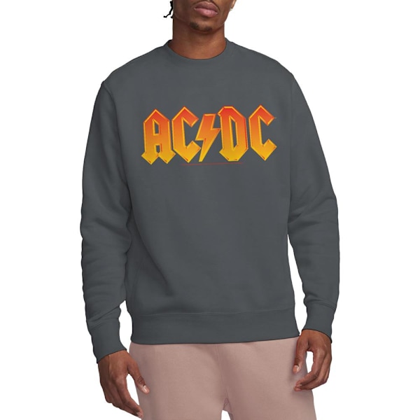 AC/DC Unisex Vuxen Logotyp Sweatshirt XL Kolgrå Charcoal XL