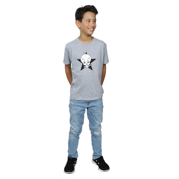 Looney Tunes Boys Tweety Pie Mono Star T-shirt 5-6 år Sport Sports Grey 5-6 Years