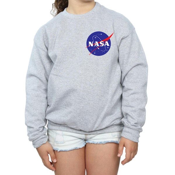 NASA Girls Classic Insignia Chest Logo Sweatshirt 5-6 år Spo Sports Grey 5-6 Years