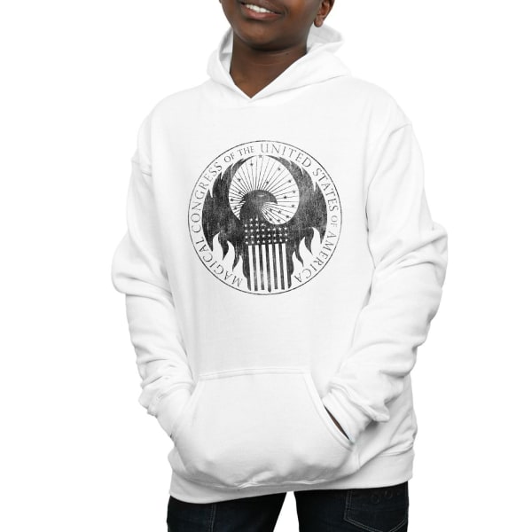 Fantastic Beasts Boys Distressed Magical Congress Hoodie 9-11 Y White 9-11 Years