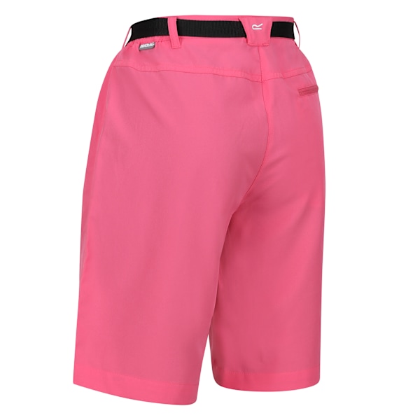 Regatta Dam/Dam Xert Stretch Shorts 34R Fruit Dove Fruit Dove 34R