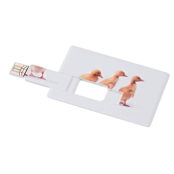 MidOcean Memorama 16GB Minne Stick One Size Vit White One Size