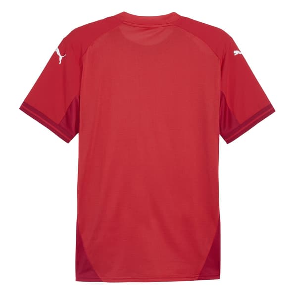 Puma Herr TeamFinal Tröja T-Shirt L Röd/Vit Red/White L