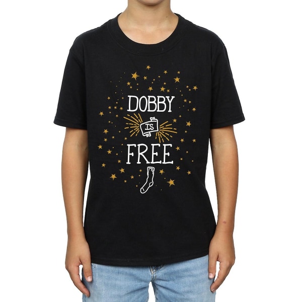 Harry Potter Boys Dobby Is Bomull T-shirt 12-13 år Svart Black 12-13 Years