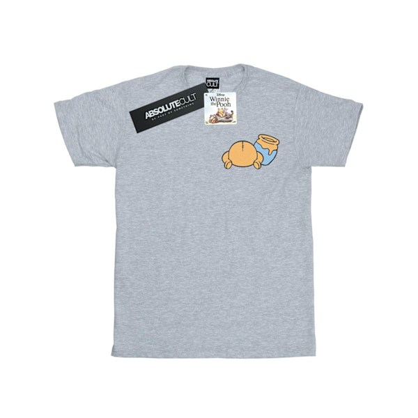 Disney Boys Winnie The Pooh Bakside Brösttryck T-shirt 12-13 Sports Grey 12-13 Years