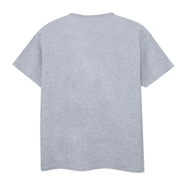 DC Comics Catwoman Text Logo T-shirt S Sports Grey för män Sports Grey S