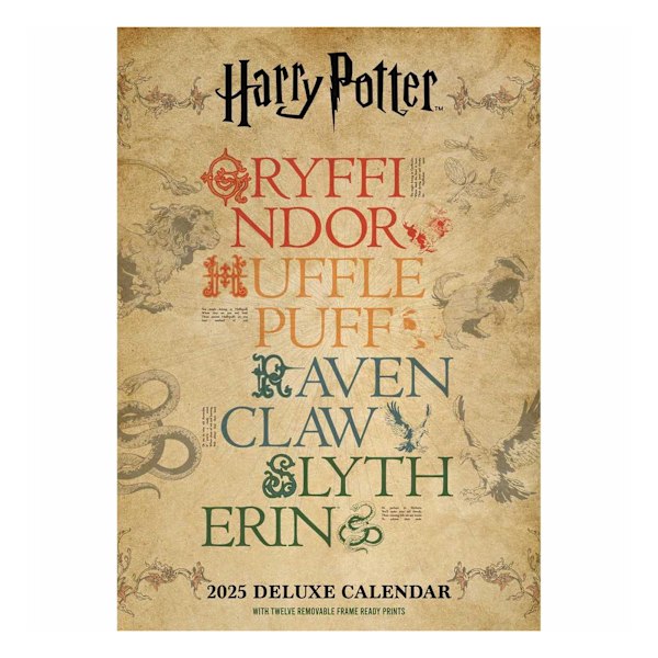 Harry Potter Deluxe Kalender 2025, En Storlek, Flerfärgad Multicoloured One Size