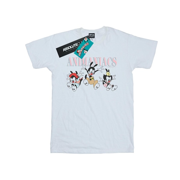 Animaniacs Dam/Damer Grupp Hopp Bomull Pojkvän T-shirt 4X White 4XL