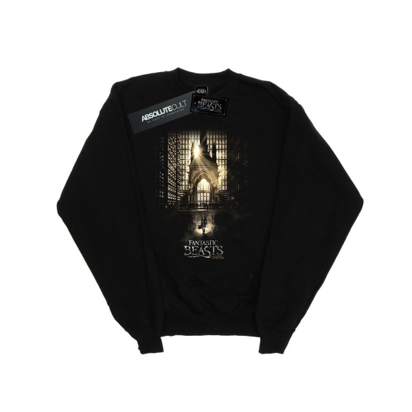 Fantastic Beasts Herr Movie Poster Sweatshirt 3XL Svart Black 3XL