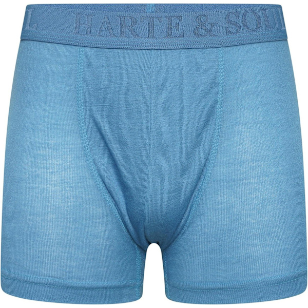 Harte & Soul Herr Plain Bambu Boxerkalsonger (12-pack) S Mult Multicoloured S