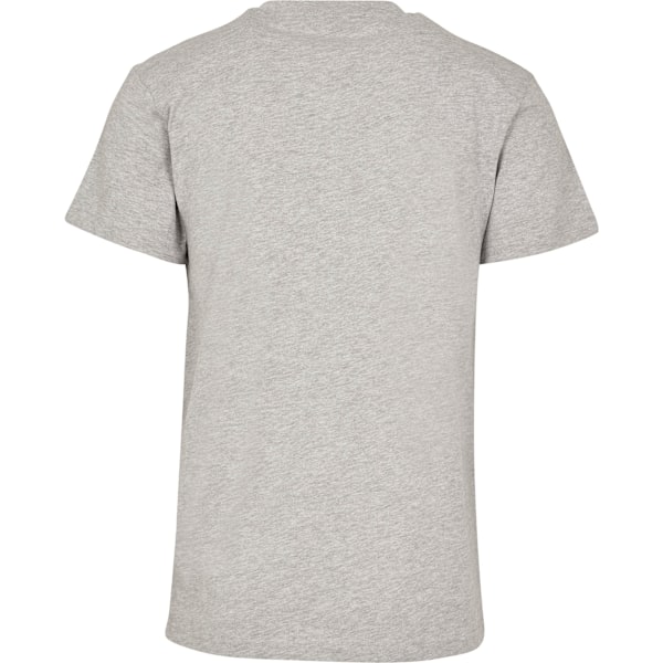 Bygg ditt varumärke Unisex Vuxna Premium Kammad Jersey T-shirt L Heather Grey L