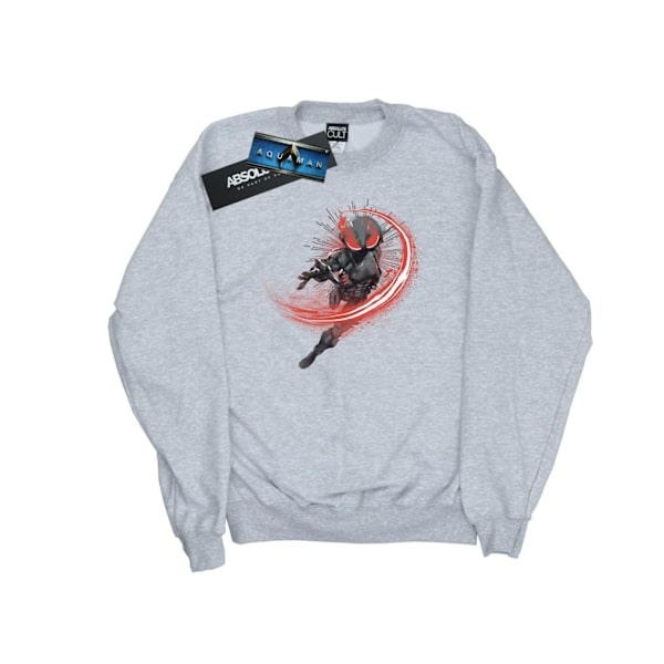 DC Comics Herr Aquaman Black Manta Flash Sweatshirt S Sports Grå Sports Grey S