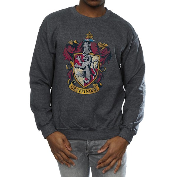 Harry Potter Gryffindor Sweatshirt för män, L, mörkgrå Dark Heather L