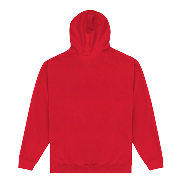 The Flash Unisex Hoodie för Vuxna M Röd Red M