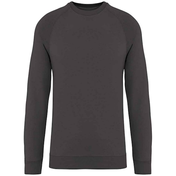 Native Spirit Unisex Raglantröja för vuxna XS Iron Grey Iron Grey XS