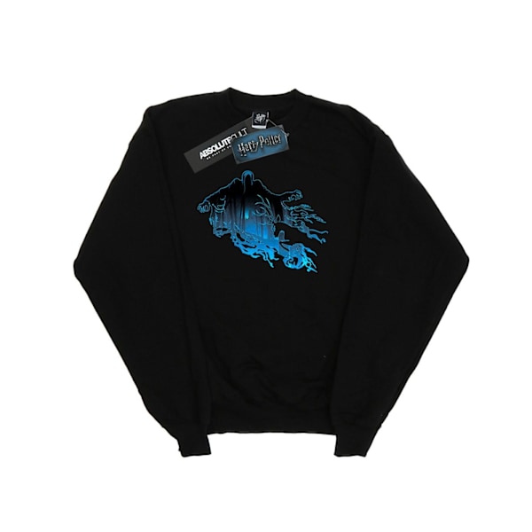 Harry Potter Herr Dementor Silhuett Sweatshirt M Svart Black M
