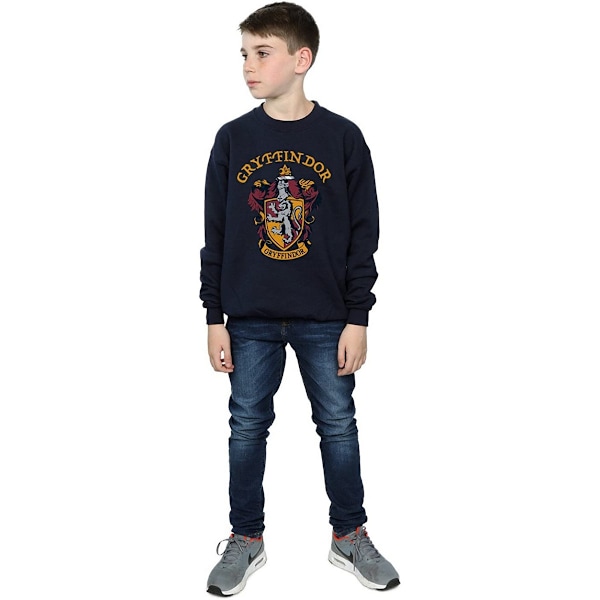 Harry Potter Pojkar Gryffindor Bomullströja 5-6 År Marinblå B Navy Blue 5-6 Years