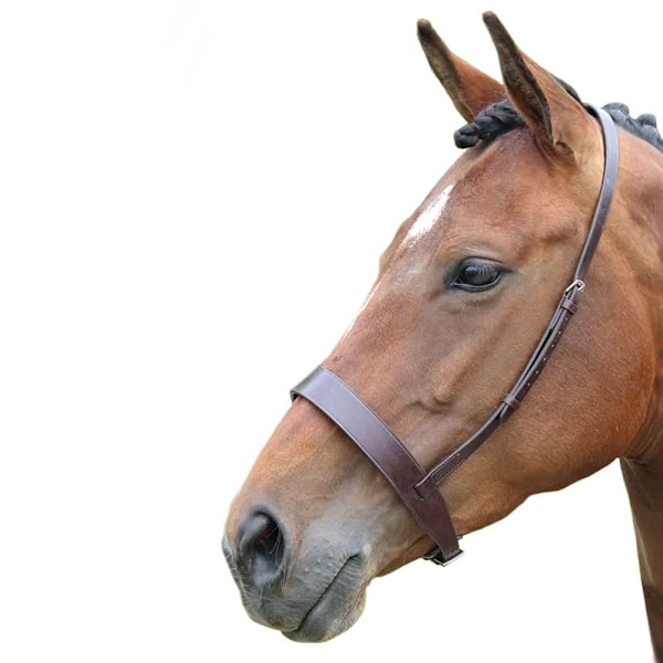 Blenheim Hunter Läder Häst Cavesson Cob Brun Brown Cob