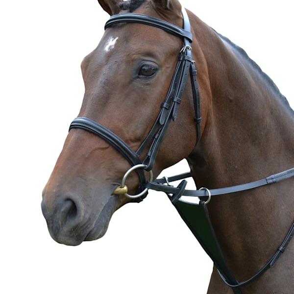 Hy Läder Haklapp Martingal Cob Svart Black Cob