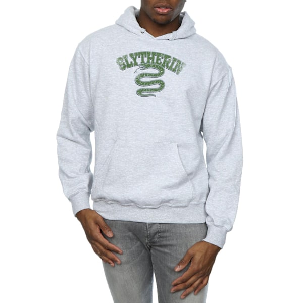 Harry Potter Herr Slytherin Sport Emblem Hoodie 3XL Sports Grey Sports Grey 3XL