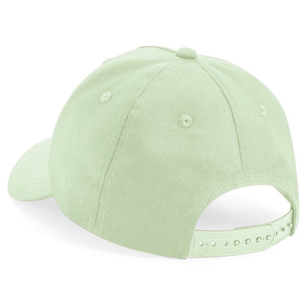 Beechfield Barn/Barn Organisk Bomull 5 Panel Baseball Cap O Pistachio One Size