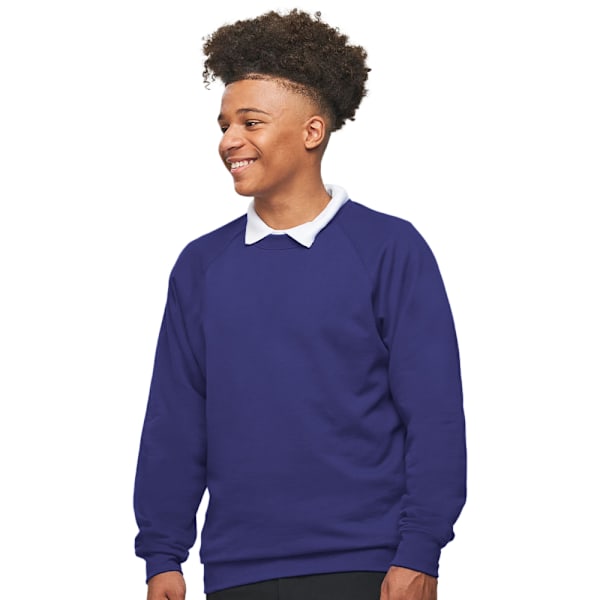 AWDis Academy Herr Crew Neck Raglan Sweatshirt XL Lila Purple XL