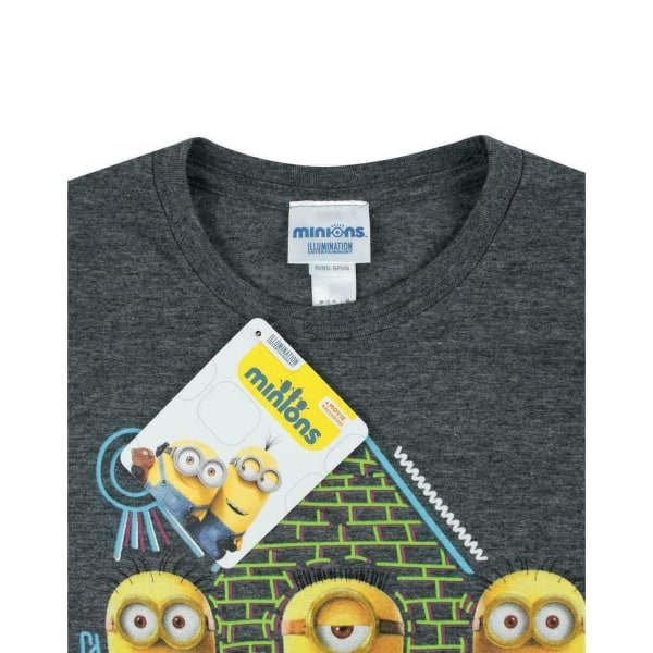 Minions Egyptisk T-shirt dam/dam S Charcoal Charcoal S