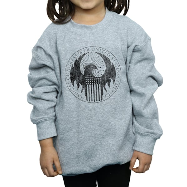 Fantastiska vidunder Girls Distressed Magical Congress Sweatshirt 5 Sports Grey 5-6 Years