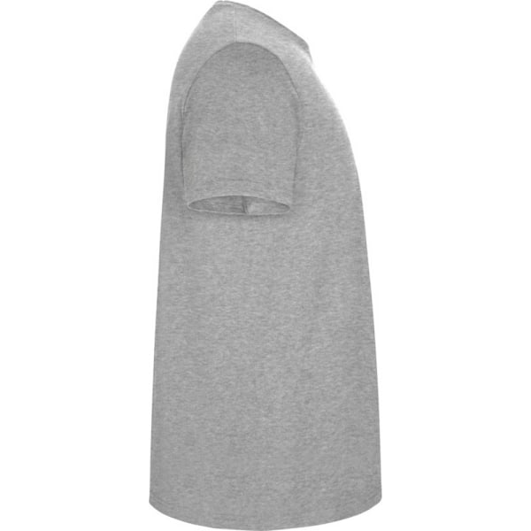 Roly Herr Stafford T-shirt XXL Gråmelerad Grey Marl XXL
