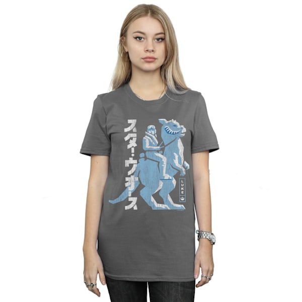 Star Wars Dam/Damer Kanji Luke Hoth Bomull Boyfriend T-Shir Charcoal XXL