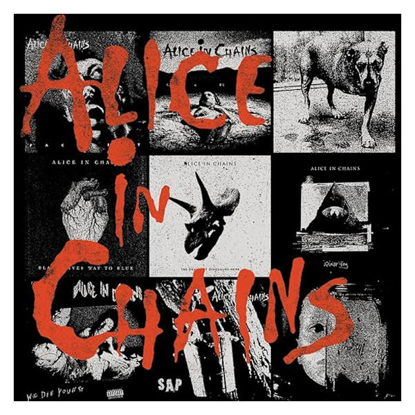 Alice In Chains Unisex Album Sweatshirt för Vuxna M Svart Black M