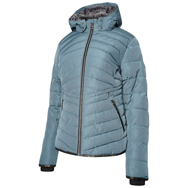 Dare 2B Dam/Kvinnor Striking Vadderad Jacka 10 UK Orion Grå Orion Grey 10 UK